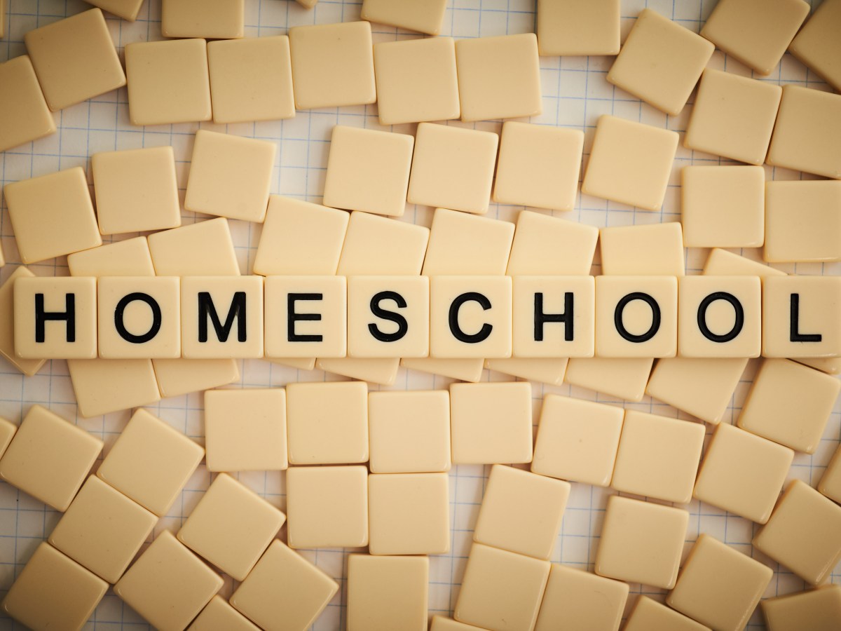 Home Education is NOT School at&nbsp;Home